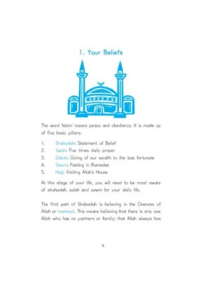 A Muslim Boy’s Guide to Life’s Big