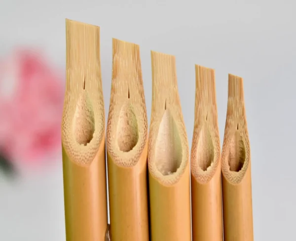 Bamboo Qalam (set of 5)