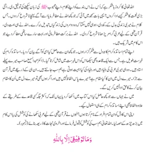 Lisan Ul Quran By Amir Sohail (Urdu)