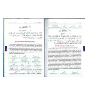 Study the Noble Quran (Word For Word)