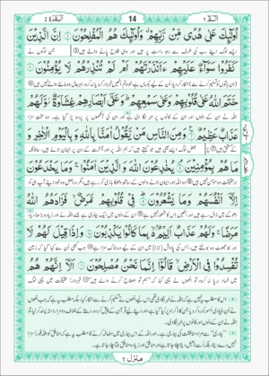 Translation of the Holy Quran between lines